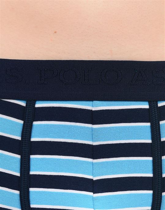 U.S. Polo Assn. Men Striped Trunk